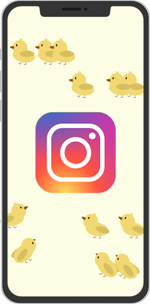 公式Instagramアカウント