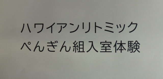 ブログイメージ